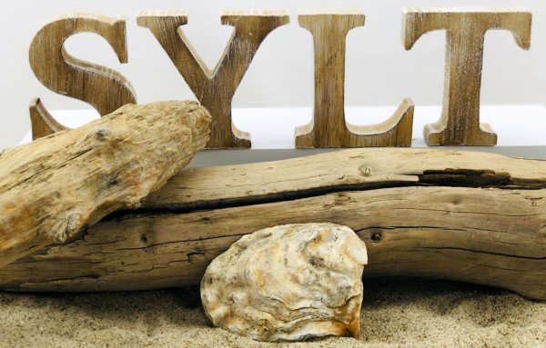 Holzbuchstaben Sylt Sand, Natur (Dekoration Dekobuchstaben Sylt Urlaub Natur)